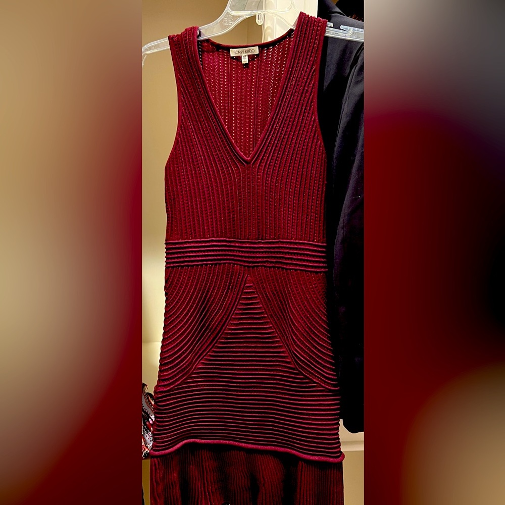 Ronny kobo tight dress